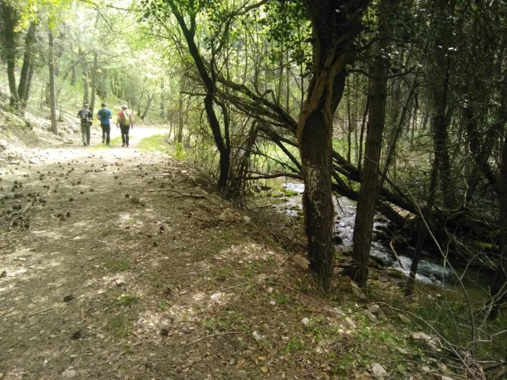 Senderismo Club Deportivo de Montaña Almicerán