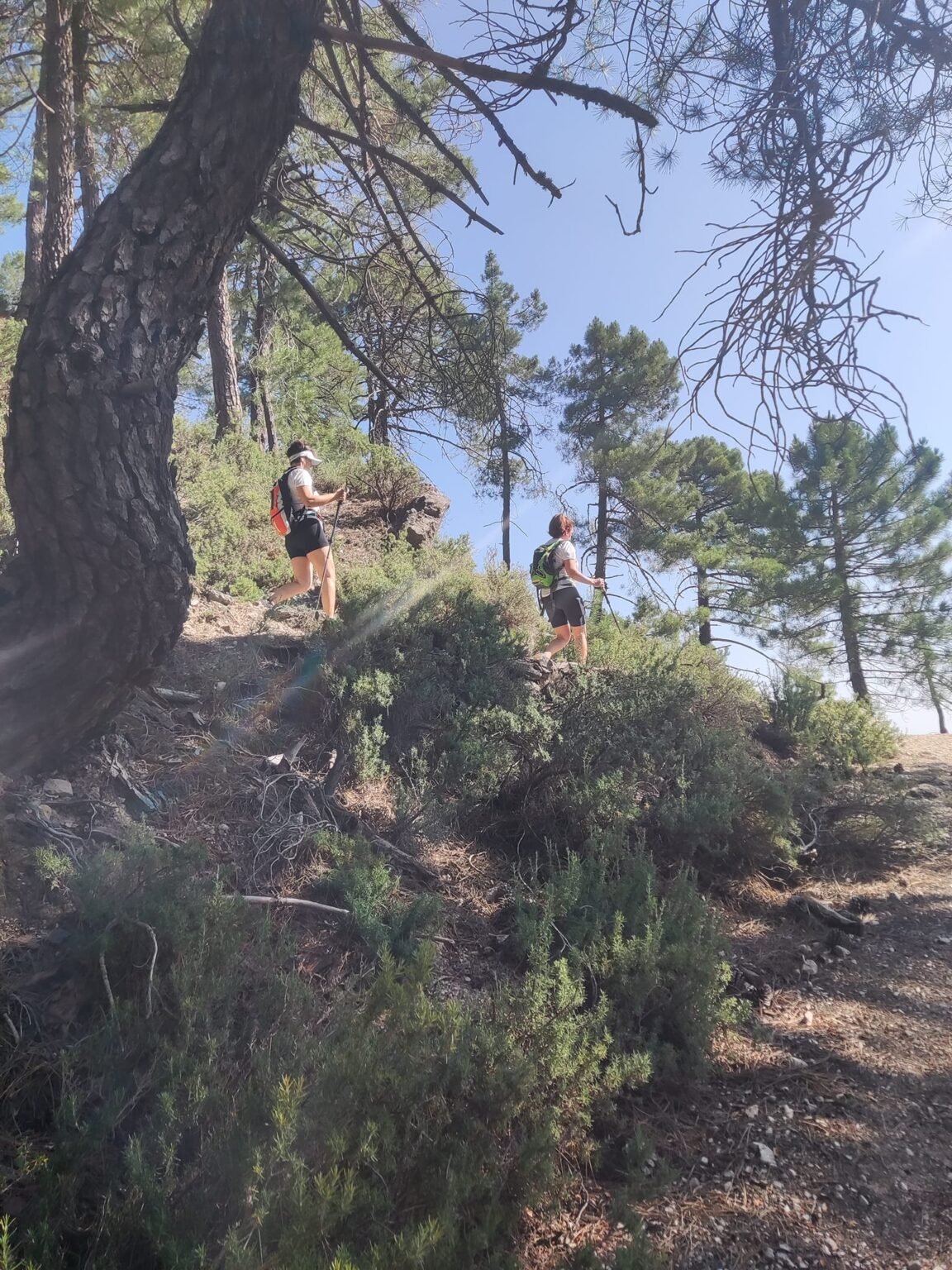 trekking sierra de cazorla