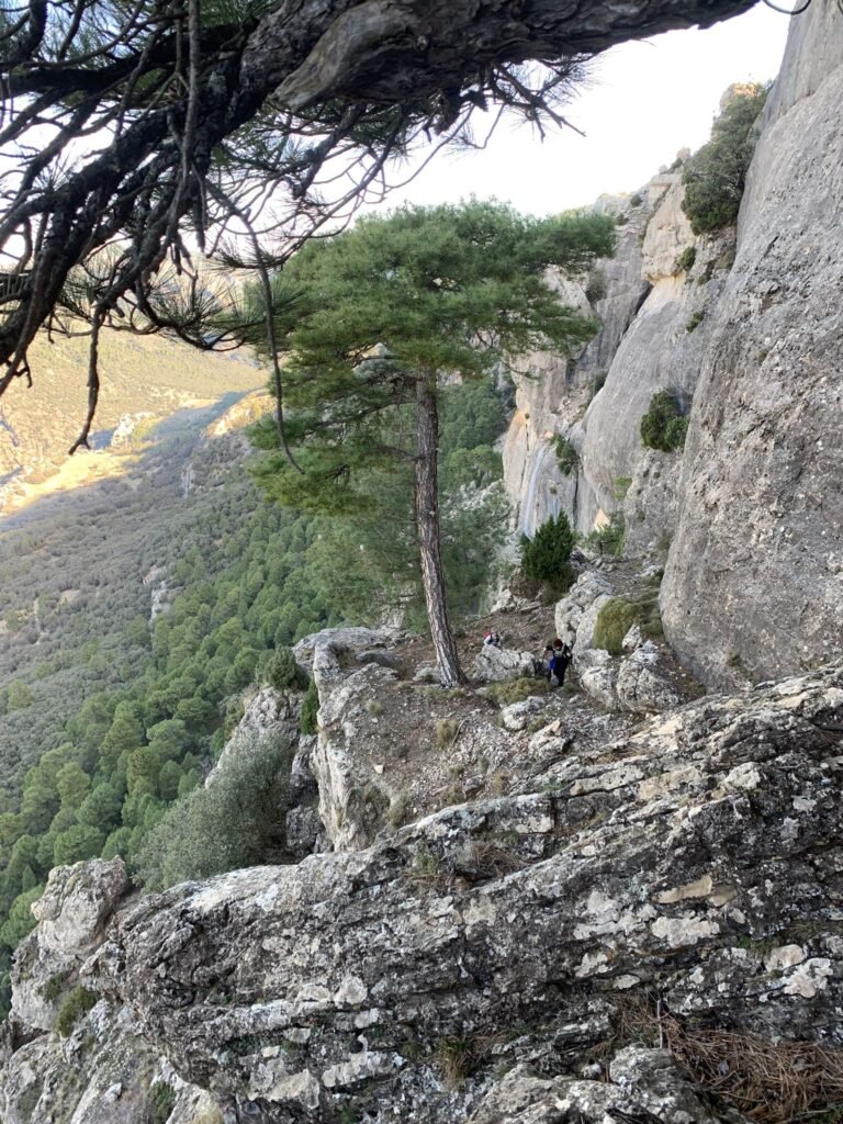 trekking sierra de cazorla